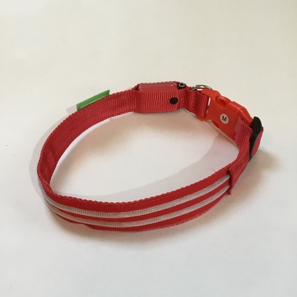 Illumiseen LED dog collar, lights up or flashes, nylon, size M, fits 16” to 20”. - Picture 5 of 8